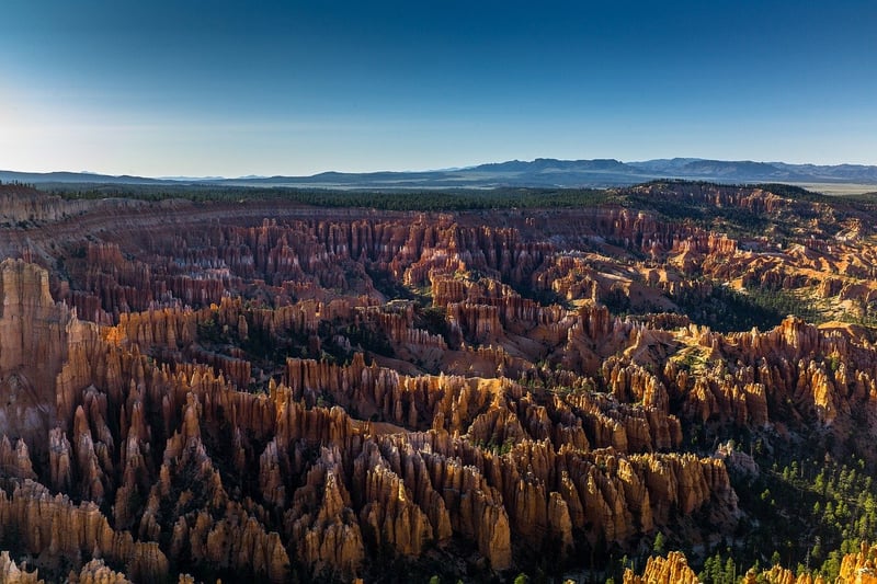 Aerial Drone View